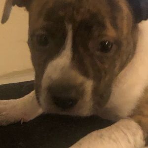 Meet your Posher, Johnny